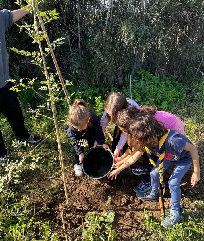 Plantada popular a la riera de la Boella