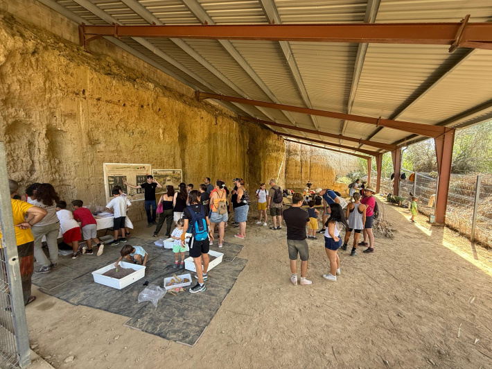 Més de 350 persones participen en la jornada de portes obertes al jaciment de la Boella
