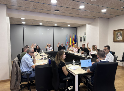 El ple aprova dues declaracions institucionals, de suport al model lingüístic educatiu de Catalunya i de condemna dels atacs a la població civil a Gaza.